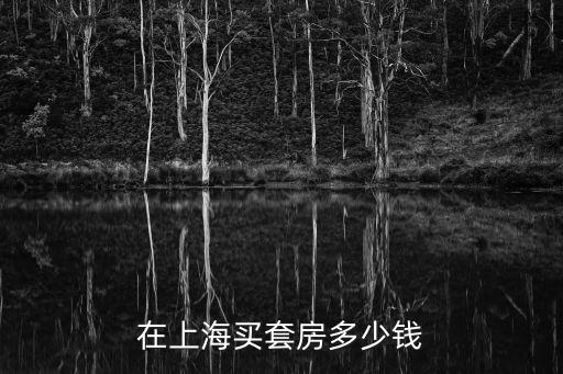 在上海買套房多少錢