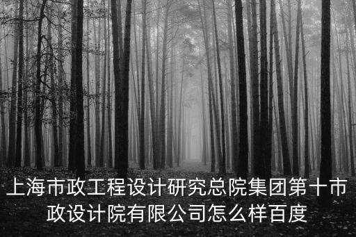 上海市政工程設(shè)計(jì)研究總院集團(tuán)第十市政設(shè)計(jì)院有限公司怎么樣百度