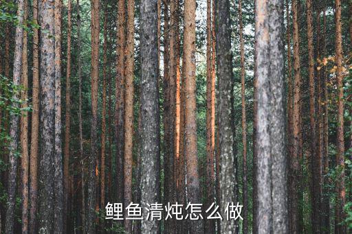 燉鯉魚,7、鯉魚清燉怎么做?一文看懂