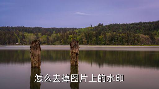 怎么去掉圖片上的水印