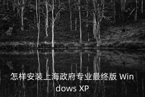 怎樣安裝上海政府專業最終版 Windows XP