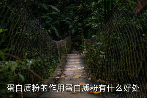 蛋白質粉的作用蛋白質粉有什么好處