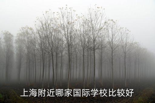 上海附近哪家國際學校比較好