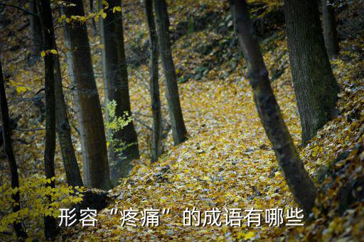 形容疼痛的成語,形容萬分傷痛的四字成語有哪些?