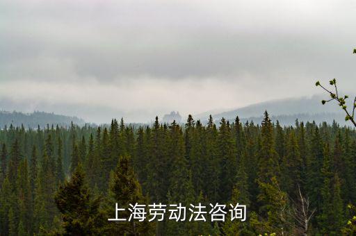 上海勞動法咨詢