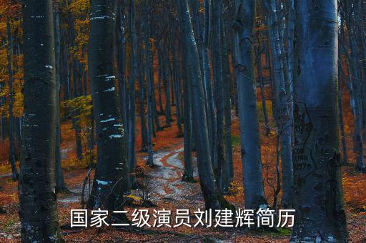 國家二級演員劉建輝簡歷