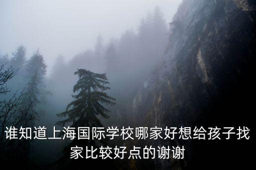 上海市最好的國際高中，誰知道上海國際學校哪家好想給孩子找家比較好點的謝謝