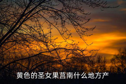 黃色的圣女果莒南什么地方產