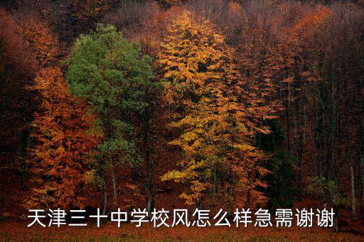 天津三十中學校風怎么樣急需謝謝