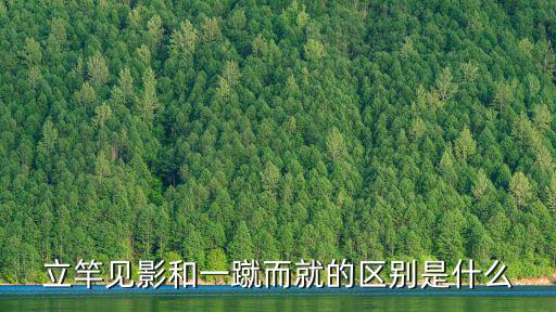 立桿見影,立竿見影指的是什么?