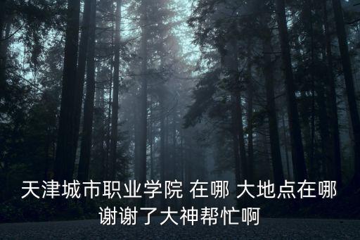 天津市城市職業學院在那里，天津城市職業學院泰興路校區怎么樣