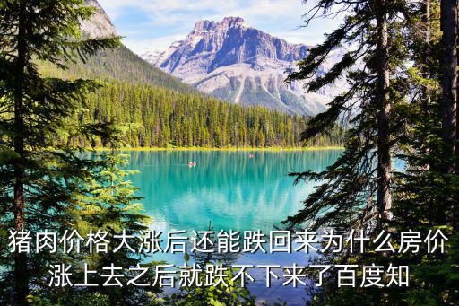 豬肉價(jià)格大漲后還能跌回來為什么房?jī)r(jià)漲上去之后就跌不下來了百度知