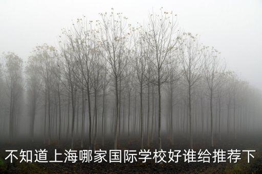 不知道上海哪家國際學校好誰給推薦下