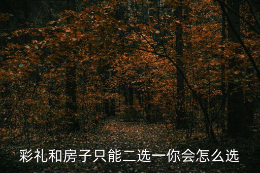彩禮和房子只能二選一你會怎么選