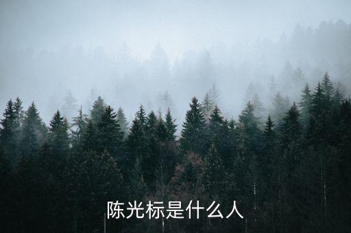 陳光標,中國首善陳光標是什么來頭?