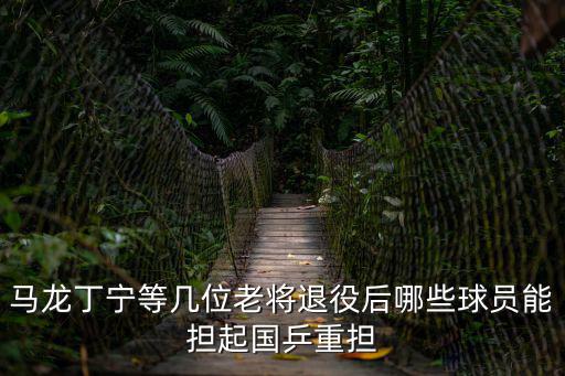 馬龍丁寧等幾位老將退役后哪些球員能擔起國乒重擔