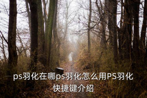ps羽化在哪ps羽化怎么用PS羽化快捷鍵介紹