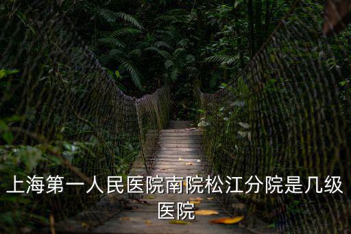 上海第一人民醫院 南院，上海第一人民醫院南院松江分院是幾級醫院