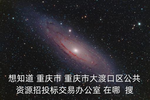 想知道 重慶市 重慶市大渡口區公共資源招投標交易辦公室 在哪  搜