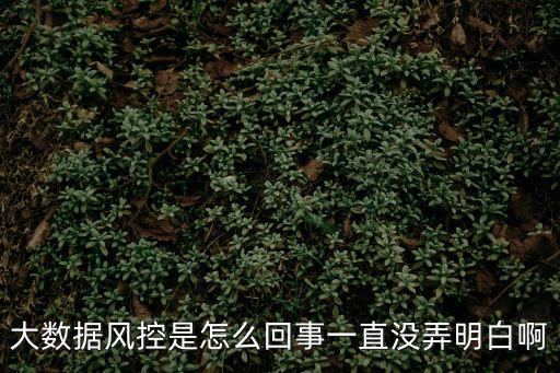 大數據風控是怎么回事一直沒弄明白啊