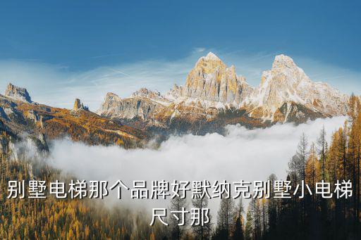 別墅電梯那個品牌好默納克別墅小電梯尺寸那