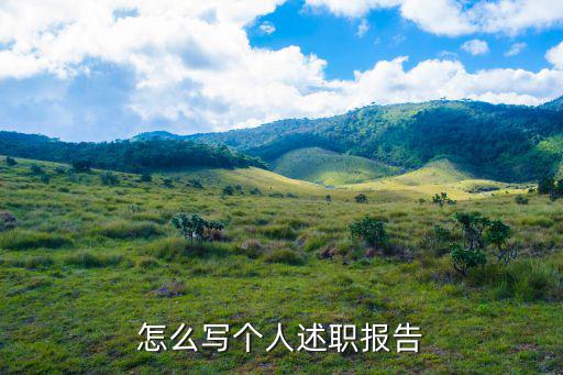 怎么寫個人述職報告