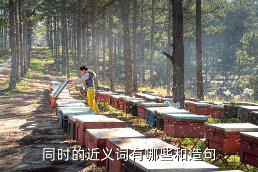同時造句,同時造句:并且、而且、同步、同時四個字