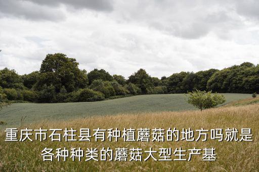 重慶市哪里有蘑菇種植基地，食用菌菌種重慶那里有呀