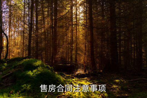 售房合同,購房合同注意事項