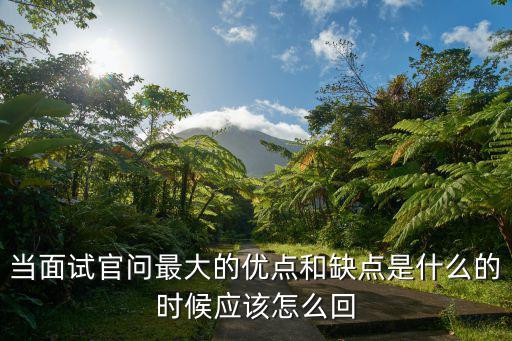 面試優缺點,面試官問最大優點和缺點你應如何回復?