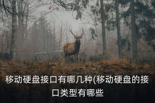 硬盤接口,移動硬盤接口有哪幾種?