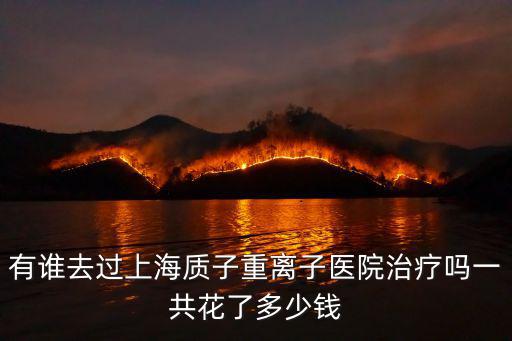 上海市質子重離子醫院醫療費用高嗎，上海質子重離子醫院治療多少錢