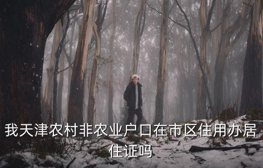 天津市非農業戶口在農村住房，貸款買房問題我是天津農村的非農業戶口想在天津市里買房沒