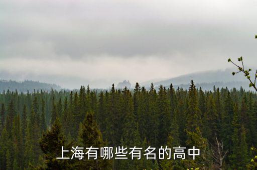 上海有哪些有名的高中