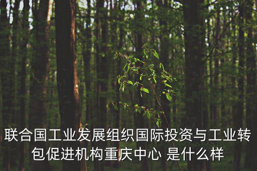 聯合國工業發展組織國際投資與工業轉包促進機構重慶中心 是什么樣