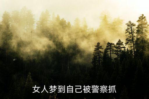 女人夢到自己被警察抓