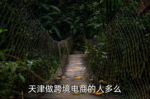 天津做跨境電商的人多么