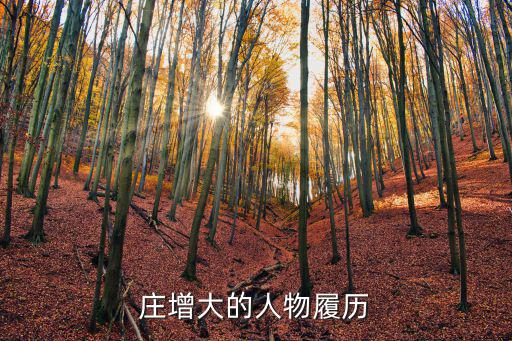 莊增大,曾任四方區政府區長徐增大的人和履歷