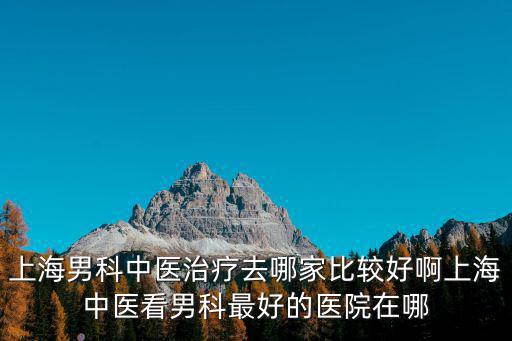 上海男科中醫(yī)治療去哪家比較好啊上海中醫(yī)看男科最好的醫(yī)院在哪