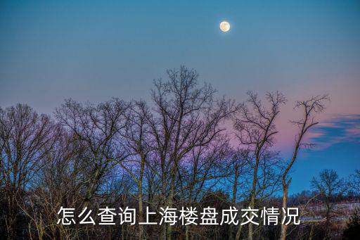 怎么查詢上海樓盤成交情況