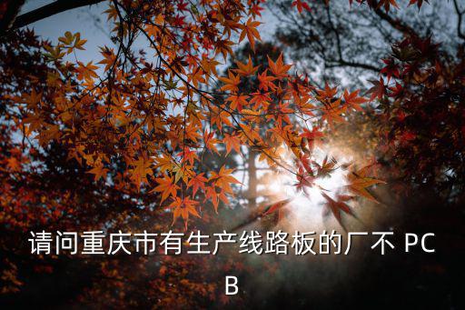 請問重慶市有生產(chǎn)線路板的廠不 PCB