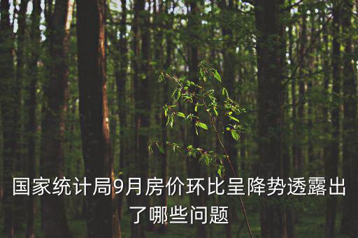 國家統計局9月房價環比呈降勢透露出了哪些問題