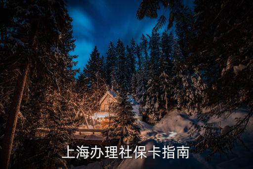 上海最新社保開戶流程，上海辦理社保卡指南