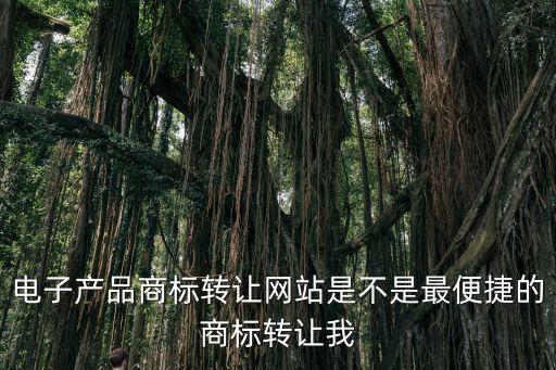 商標轉讓平臺官網，電子產品商標轉讓網站是不是最便捷的商標轉讓我
