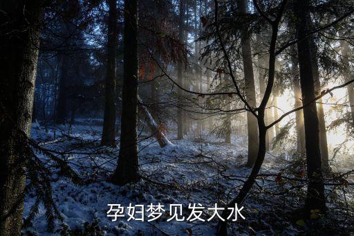 孕婦夢見發洪水,孕婦夢見發大水了的意義