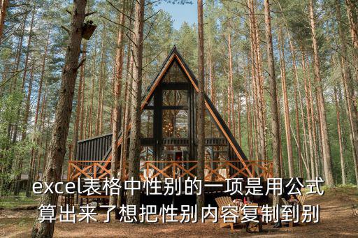 excel表格中性別的一項是用公式算出來了想把性別內容復制到別