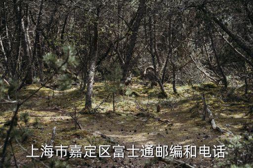 上海市嘉定區(qū)富士通郵編和電話