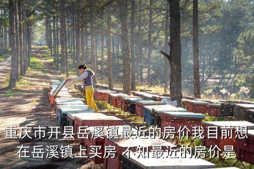 重慶市開縣岳溪鎮最近的房價我目前想在岳溪鎮上買房 不知最近的房價是