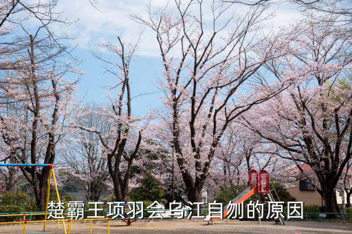 項羽自刎烏江,無顏見江東父老項羽自刎烏江發出一聲滾字