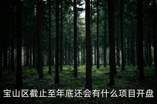 寶山區截止至年底還會有什么項目開盤